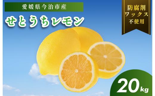 【有機】せとうちレモン　今治産　20kg【K002330KG20】