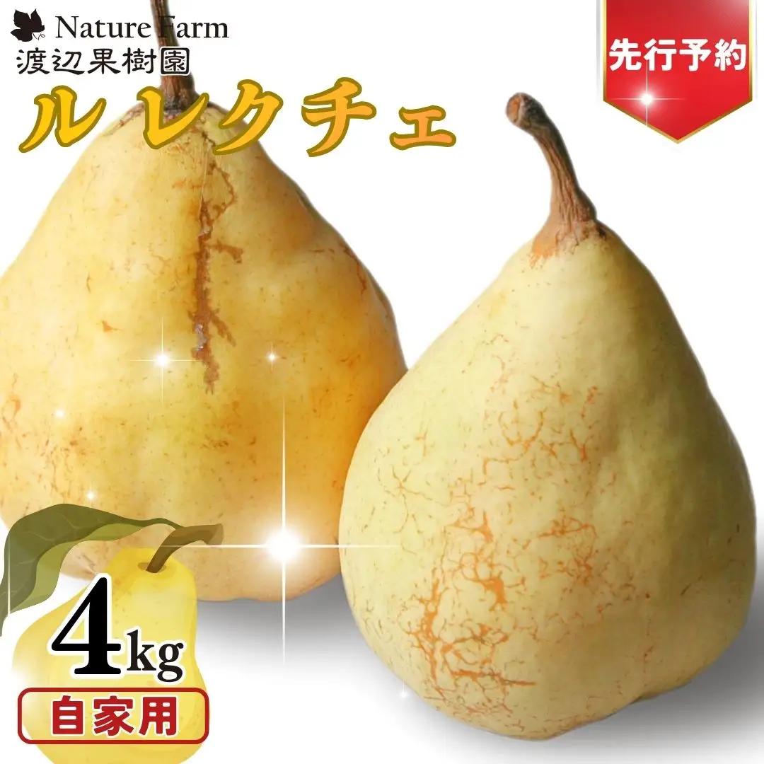先行予約 ル レクチェ 自家用 4kg (9～14玉) 令和8年度 西洋梨 ル レクチエ 洋梨 化粧箱 洋ナシ ル・レクチェ [渡辺果樹園]