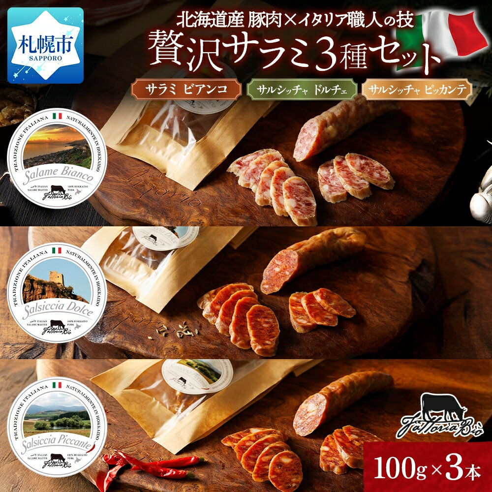 【ふるさと納税】 北海道産 サラミ 3種 セット 計300g 北海道産豚肉 熟成 サラミ・ビアンコ サルシッチャ ドルチェ ピッカンテ 話題 お取り寄せ グルメ 詰め合わせ 肉 加工品 サラダ おつまみ ファットリアビオ 北海道 札幌市