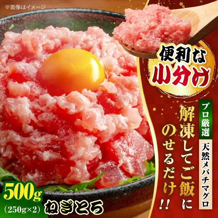 まぐろ ねぎとろ 約500g [AKAK120] ねぎとろ