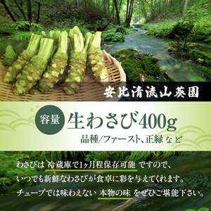 岩手県産 生わさび 400g 【安比清流山葵園】 ／ 山葵 ワサビ わさび 薬味 国産 八幡平市産 産地直送 新鮮 調味料 刺身 ステーキ お肉 蕎麦 和え物 漬け物 刻み おろし 辛味 和食 お寿司