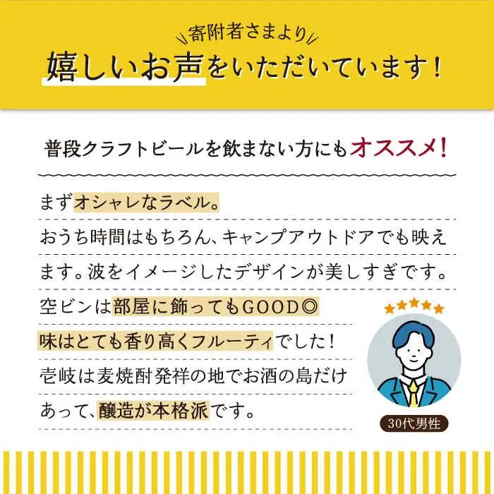 【全3回 定期便 】クラフトビール 地ビール  24本詰め合わせ（3種類×8本）【ISLAND BREWERY】 《 壱岐市 》[JED030] 165000 165000円