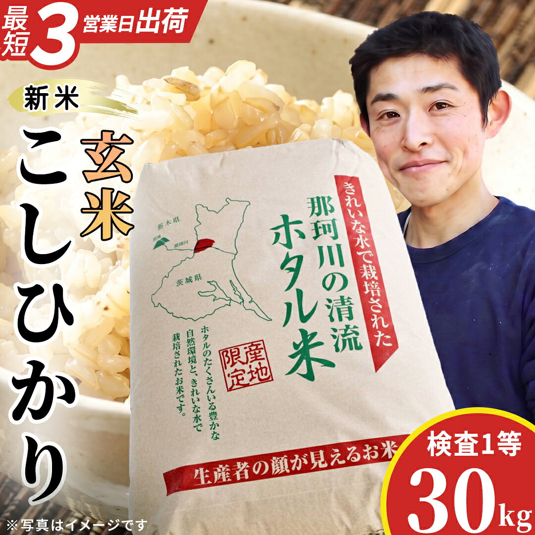 【ふるさと納税】 ≪新米≫ 那珂川の清流 コシヒカリ ホタル米 【玄米】30kg 検査1等 令和8年産 スピード発送 スピード出荷 最短3～7営業日出荷 即納 産地直送