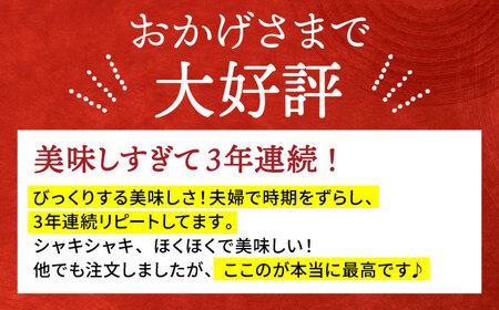 【全3回定期便】地元江北町産 泥付き蓮根 3kg【百武青果】レンコン[HAE012]