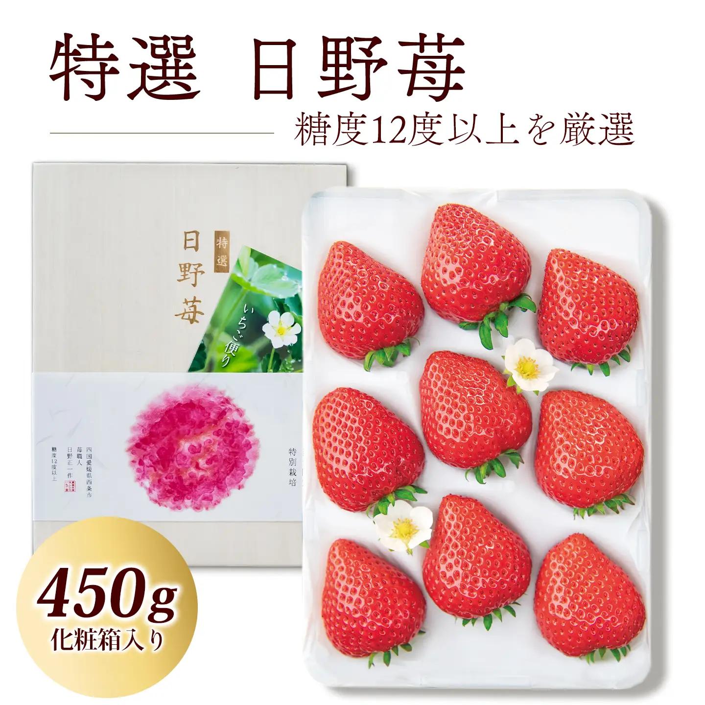 いちご 特選日野苺（約450g）～糖度12度以上を厳選～ 化粧箱　11月下旬~2月発送