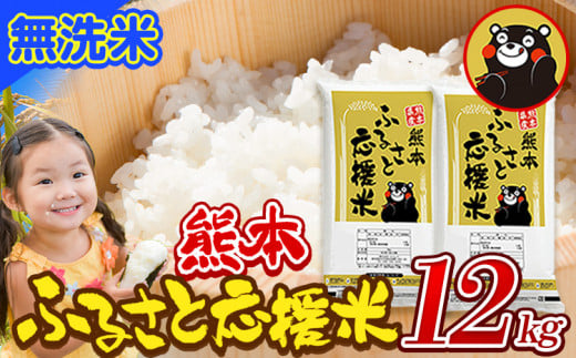 米 無洗米 家庭用 熊本 ふるさと応援米 計12kg 10kg 以上 2袋でお届け（6kg×2袋） 熊本県産 白米 精米 山江村 ブレンド米 国産 洗わず おうちご飯 予約 返礼品 発送 配送《11月-12月より出荷予定(土日祝を除く)》