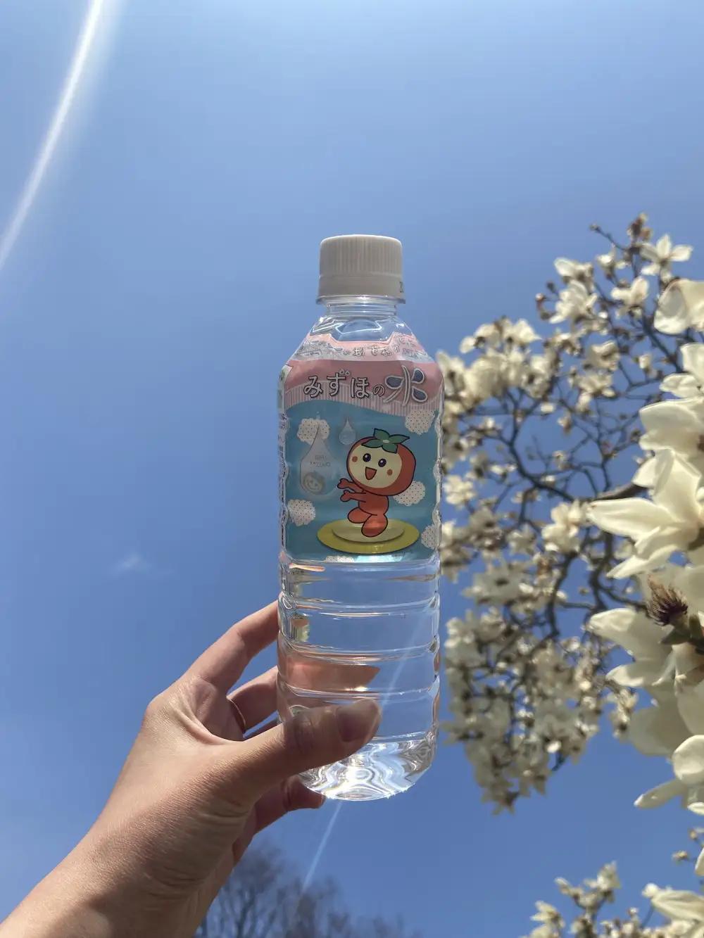 みずほの水 | 水  防災 備蓄 人気 ペットボトル 10000円 国産 長期保存 飲料水 アウトドア キャンプ