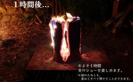 里山くらし応援 木工品 秋田杉のスウェーデントーチ「燃え杉くん（もえすぎくん）」 雑貨 日用品 アウトドア キャンプ 