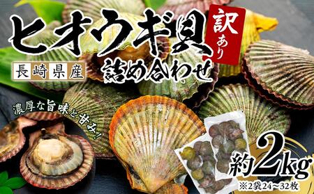 年内発送　長崎県産 訳あり ヒオウギ貝 約2kg（16～30枚） 詰め合わせ