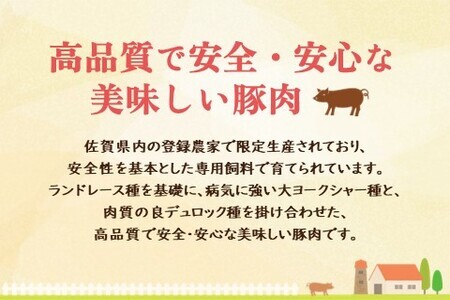 肥前さくらポーク詰合せBセット(ロースとんかつ用・ロースしゃぶしゃぶ用) K012048