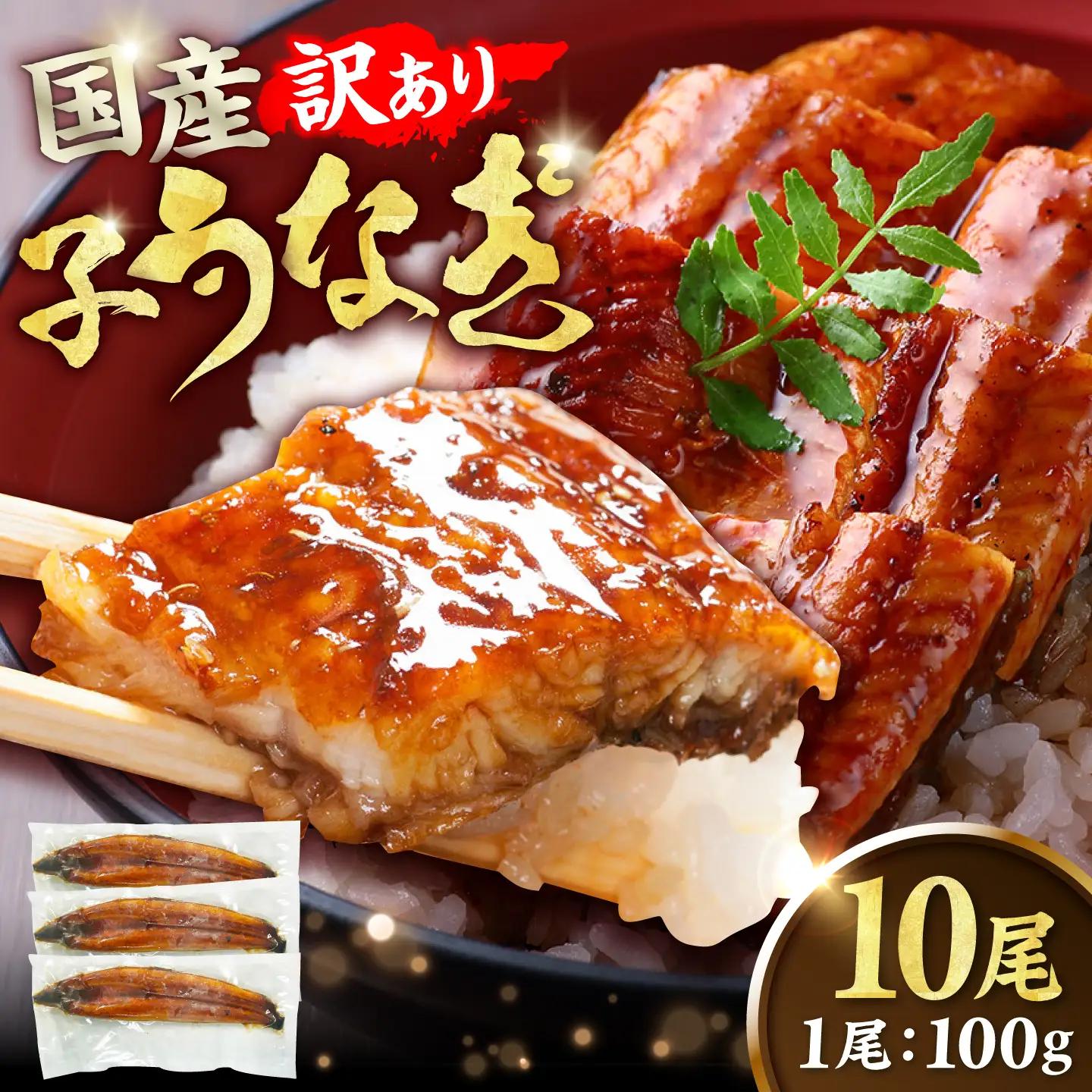【訳あり】国産鰻（100g×10尾） 広川町 / 株式会社イールファクトリー[AFBS037]