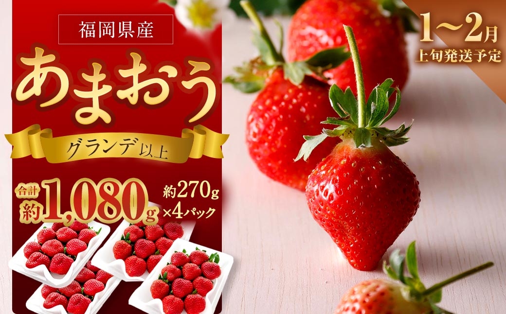 
                  福岡県産苺 「 あまおう 」 グランデ以上 270g × 4パック 計1,080g いちご イチゴ 苺 果物 くだもの 果実 フルーツ 果肉 いちごの王様 国産 福岡県産 【 2027年1月上旬～2月上旬発送予定 】
                