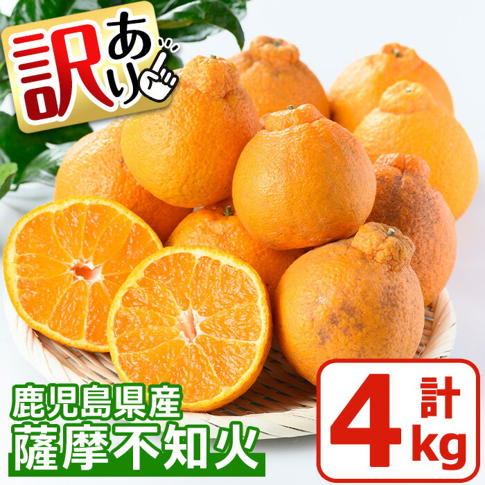 【ふるさと納税】＜先行予約受付中！2026年1月中旬～2月下旬までの間に発送＞《訳あり！期間・数量限定》鹿児島県産！薩摩不知火(4kg) みかん ミカン 蜜柑 不知火 しらぬい さつま 柑橘 フルーツ 青果 果実 鹿児島 国産 九州産【黒川農園】