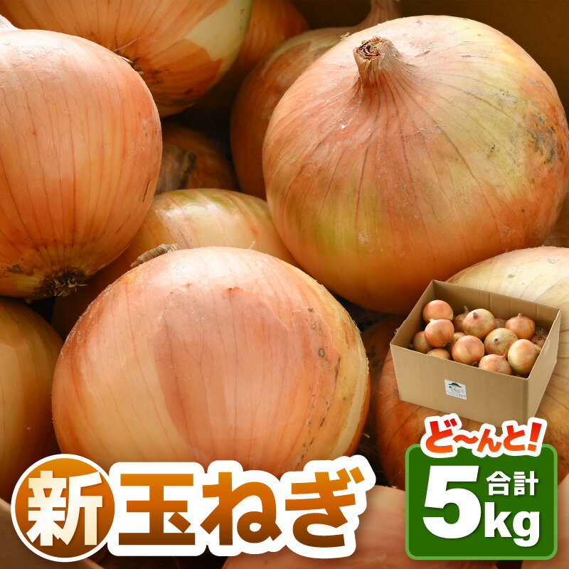 【ふるさと納税】【先行予約】2025年6月発送 採れたて 新玉ねぎ 5kg（サイズ S M L ミックス）田んぼで育てた甘くて柔らか自慢の玉ねぎ！／ 野菜 万能 料理 常備 玉葱 BBQ たまねぎ 玉ネギ 甘い