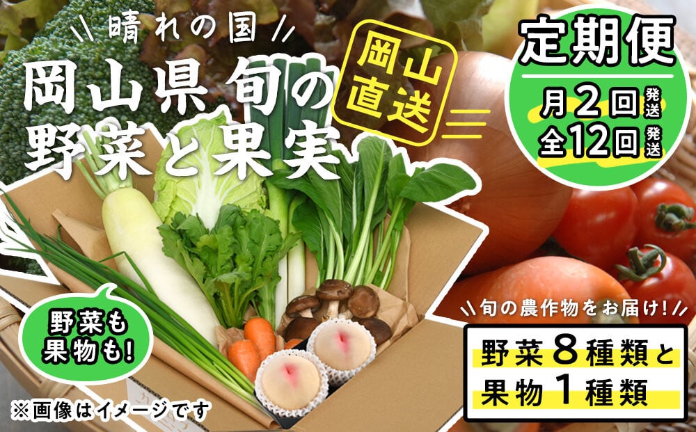 
            【定期便】晴れの国おかやま　旬の野菜8種と果物1種〈月2回・全12回〉
          