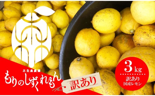 【2027年1月上旬頃から順次発送】【訳あり】 数量限定 もりのしずくれもん 3kg 国産 レモン 先行予約  檸檬 レモン果汁 酸味 果物 ビタミン 健康 フルーツ 柑橘 農家直送 産地直送 愛媛 松山 レモンサワー ジュース チューハイ くだもの 果実 有名 みかん 愛媛県産 瀬戸内 れもん デザート スイーツ 人気 おすすめ