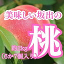 【ふるさと納税】美味しい坂出の桃　約2kg（6～7個） | フルーツ 果物 くだもの 食品 人気 おすすめ 送料無料