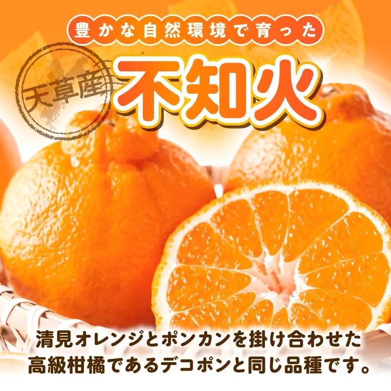 S153-004_天草産 不知火 約5kg