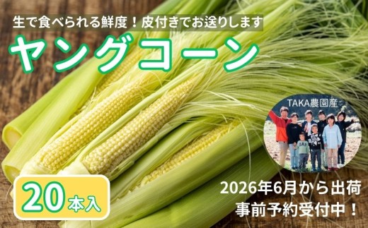 皮付きヤングコーン≪20本≫令和8年6月・7月限定出荷 黒姫高原 とうもろこし 恵味／TAKA農園【長野県信濃町】