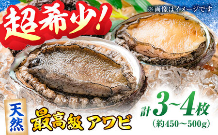 天然活きアワビ（3-4枚） あわび 魚介 鮑[AGBP007]