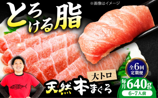 【全6回定期便】極上！たね熟天然本まぐろ大トロ(640g) 天然 マグロ 鮪 大トロ 刺身 魚 魚介 魚介類 海鮮丼 本マグロ 本まぐろ 本鮪 赤身 大トロ 冷凍 お刺身 お寿司 大阪府高槻市/本まぐろ直売所 [AOCE026] 本マグロ 刺身 寿司 海鮮 旨み 切り身 鮮度抜群 海鮮丼 お取り寄せ 高級魚 ギフト 贈答用 海の幸 家飲み ごちそう おつまみ 炙り丼 手巻き寿司 お祝い パーティー
