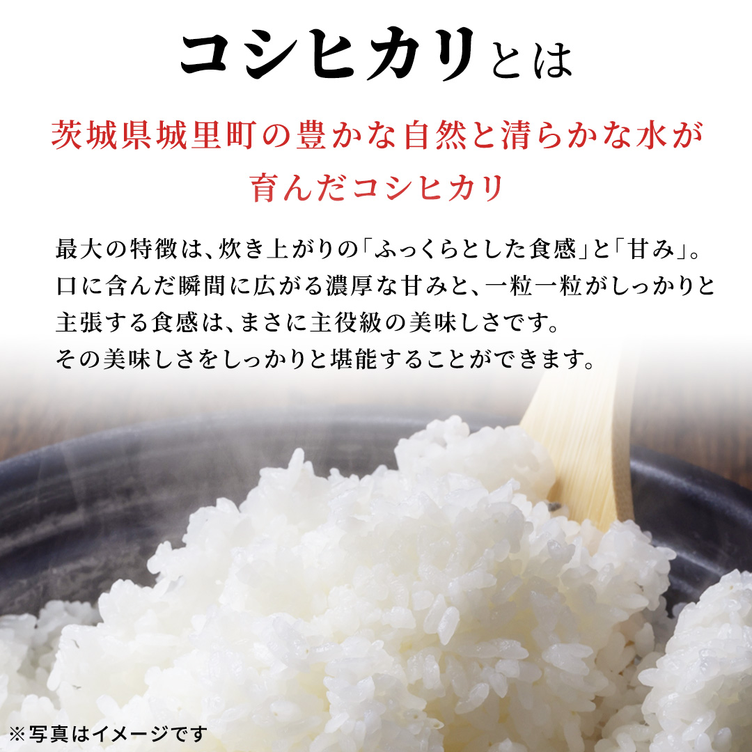 【新米】【 3ヵ月 定期便】 コシヒカリ 20kg ×3回 令和8年産 