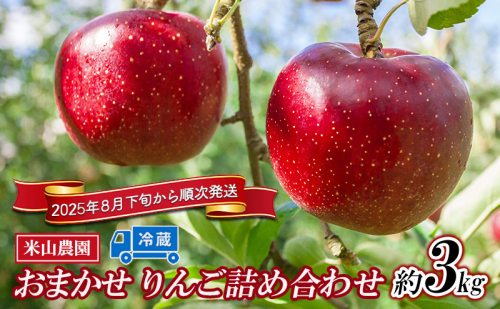 りんご 米山農園のおまかせりんご約3kg シナノリップ さんつがる シナノドルチェ 紅玉 セット 長野県 長野市