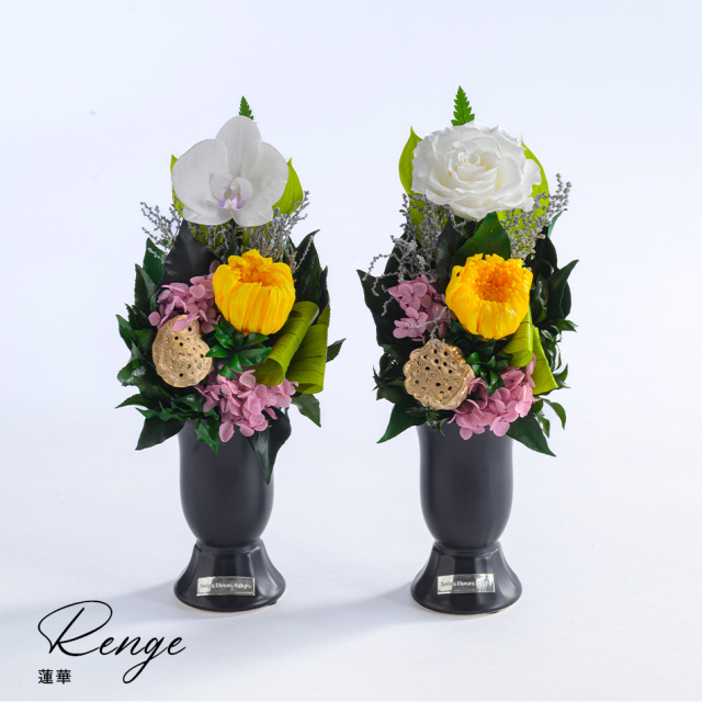 蓮華 (れんげ) 花 お花 プリザーブドフラワー ギフト プレゼント お祝い 誕生日 お供え アレンジ インテリア 東京都 墨田区【胡蝶蘭/単品】