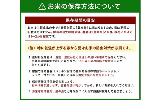 【令和7年産米】新潟県村上市 岩船産コシヒカリ 精米 10kg×1袋　1100001