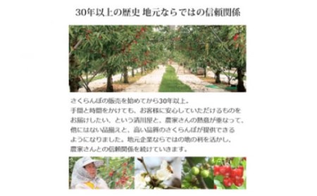 《先行予約 2024年度発送》特選 紅秀峰 バラ詰め 1kg FSY-0673