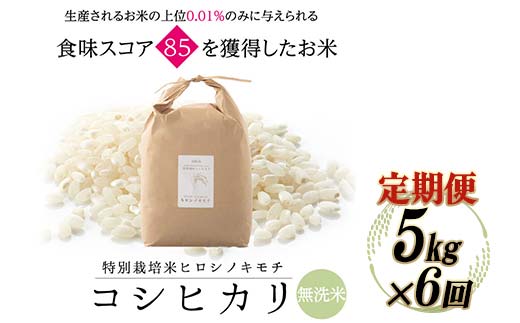 ≪先行予約≫【6回定期】特別栽培米 コシヒカリ ヒロシノキモチ 無洗米 5kg 総計30kg 陽咲玲 米 お米 コメ 無洗米 ご飯 ごはん 富山県産 富山県 立山町 F6T-817