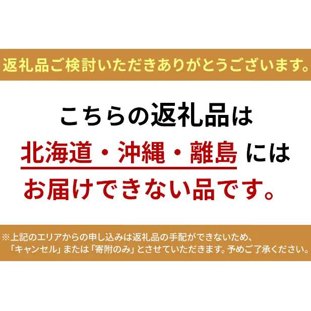 ぶどう 2026年 先行予約 シャインマスカット 2房（1房約800g） 大房 ぶどう フルーツ 果物 贈り物 ギフト 岡山 五果苑 減農薬 甘い 美味しい 人気 種なし 皮ごと ご進物 最適 