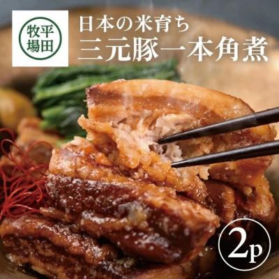 ふるさと納税 酒田市 【平田牧場】 三元豚 一本角煮 180g×2パック