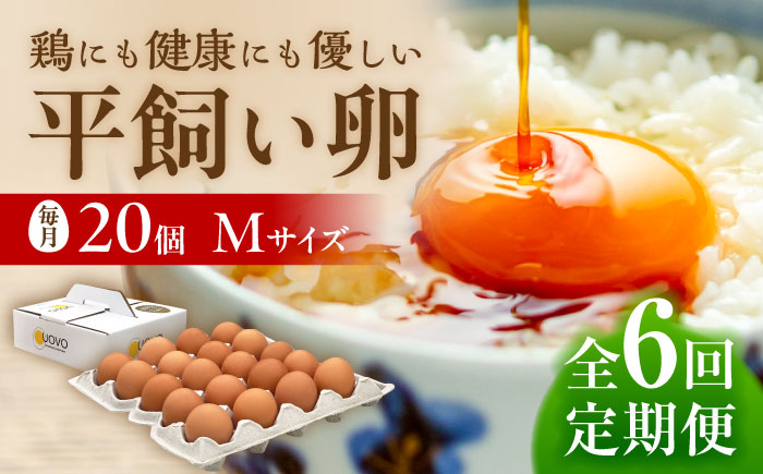
                  【 全6回 定期便 】  平飼い 卵 「 天上卵 」 20個 セット 糸島市 / 糸島ファームハウスUOVO [AKH003]
                