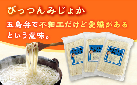 【訳あり】びっつんみじょか 五島手延うどん 300g×4袋 スープ×6袋 五島うどん うどん 麺 麺類 あご あごだし だし スープ 6000円 6千円【ますだ製麺】[RAM039]