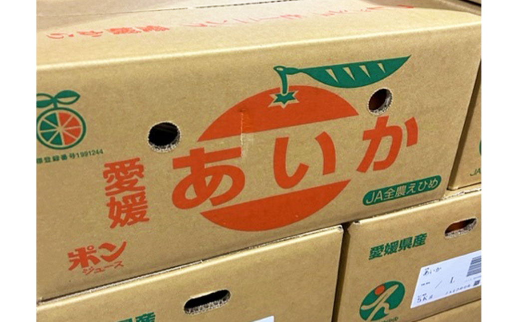 愛果 （愛媛果試28号）4L～L 約5kg（818）