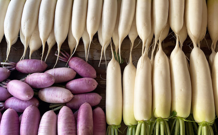 旬の野菜セット 5種類以上＜上野さん家の野菜＞那珂川市 [GGD001]