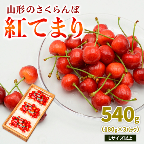 山形のさくらんぼ 紅てまり 540g Lサイズ以上 (180g×3パック) 【令和9年産先行予約】FS25-018