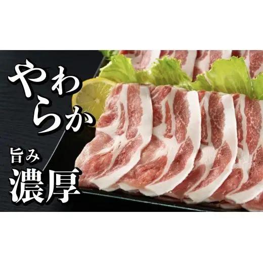 長崎県産 豚肉 ローススライス 計1kg (500g×2) 小分け 冷凍 豚肉 しゃぶしゃぶ すき焼き ぶたにく 国産豚 