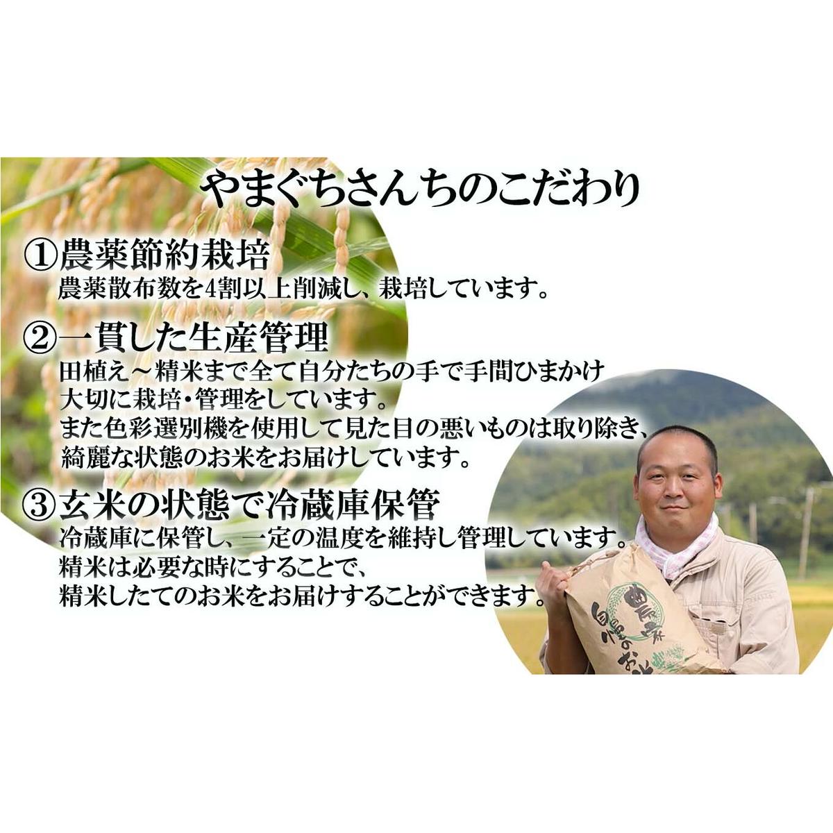 ＜ 定期便 12回 ＞ 北海道産 希少米 おぼろづき 玄米 5kg 毎月 12回_イメージ3