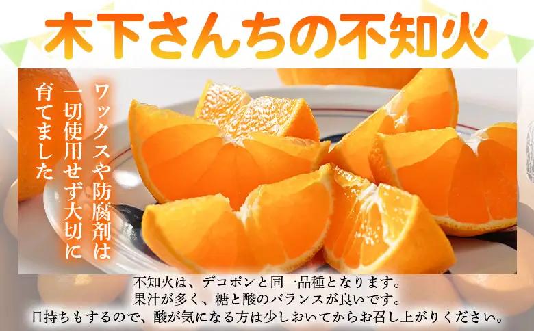 ＜木下さんちの不知火 家庭用 約2kg（大中小混み）＞『2027年3月に順次出荷予定』柑橘 しらぬい でこぽん デコポン ご自宅 みかん ミカン 蜜柑 果物 くだもの フルーツ 果実 特産品 木下農園