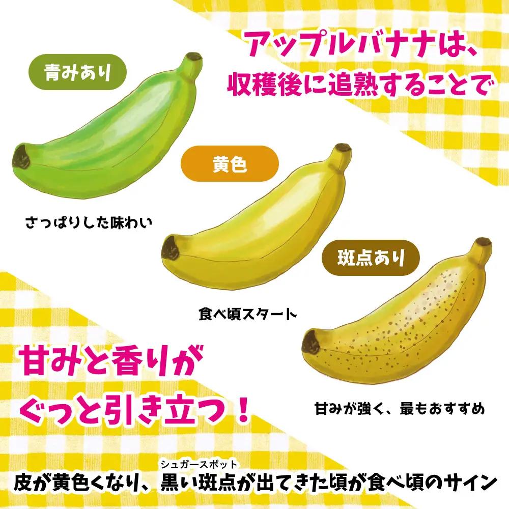 道の駅「許田」が厳選した南国フルーツ アップルバナナ 約2kg 2027年発送 バナナ 2kg やんばる 南国フルーツ トロピカル 国産 グルメ 濃厚 もっちり 完熟 新鮮 産地直送 お取り寄せ 道の