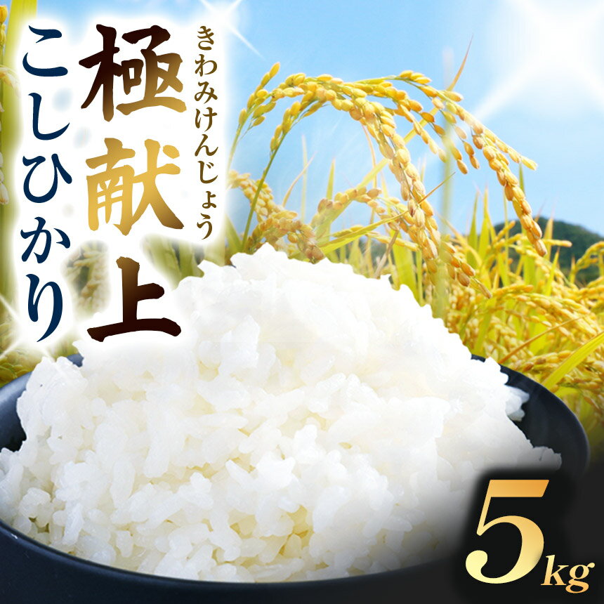 【ふるさと納税】 信州産 極献上こしひかり 5kg（米・こめ・コメ）｜信州産 極献上こしひかり 長野県産 伊那 お米 白米 精米 長野県 ふるさと納税 伊那市 返礼品【014-25】