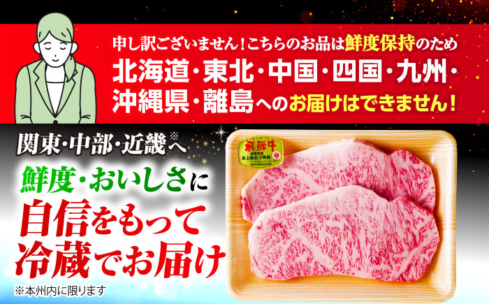 【12回定期便】 ※冷蔵配送/地域限定※ 飛騨牛 サーロインステーキ 240g×2枚 瑞浪市 / きなぁた瑞浪 和牛 国産 岐阜県産 [AZCI094]