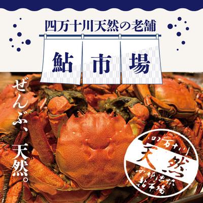 ふるさと納税 四万十市 高級天然食材!四万十川の天然ツガニ 約700g〜800g(4〜6匹) 24 |  | 01