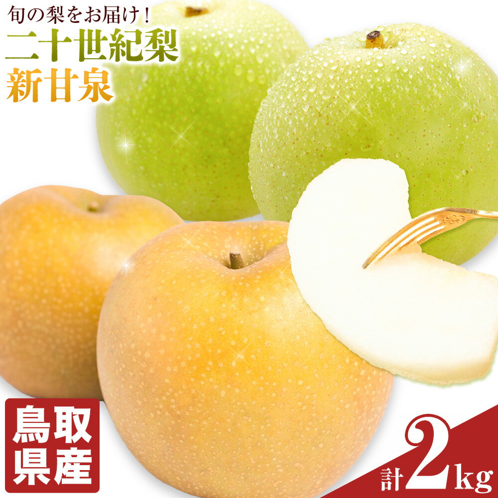 【ふるさと納税】鳥取県産 季節の梨 詰め合わせ 約2kg 二十世紀梨 新甘泉 《2026年8月下旬-9月下旬頃出荷予定(土日祝除く)》 梨 訳あり ご家庭用 鳥取県 八頭町 なし 果物 フルーツ 特産品 送料無料 果汁 デザート 八頭 しんかんせん 20世紀