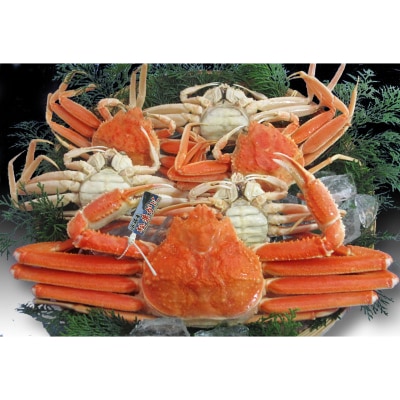 浜坂産松葉蟹夫婦セット(松葉かに・セコかに)【配送不可地域：離島】