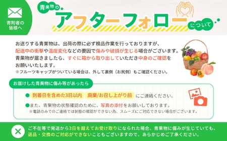 【訳あり・ご家庭用】わかやま旬のカンキツ定期便[S] 全４回 3・5・9・11月発送【AA90246-ard-tkb905】