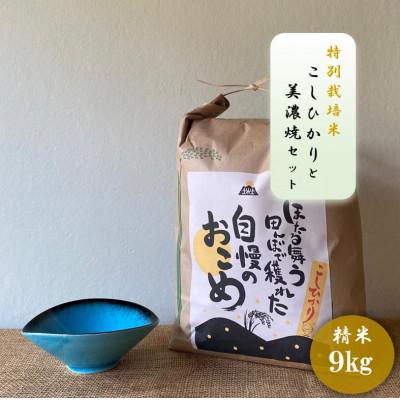 ふるさと納税 多治見市 【令和7年産:精米】特別栽培米コシヒカリ(9kg)+【美濃焼】青輝貫入楕円小鉢(2個)