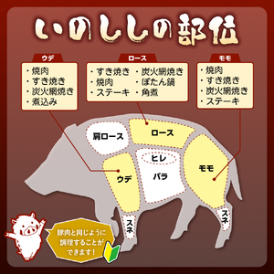 「野呂くじら」いのしし肉 3パックセット（計850g）